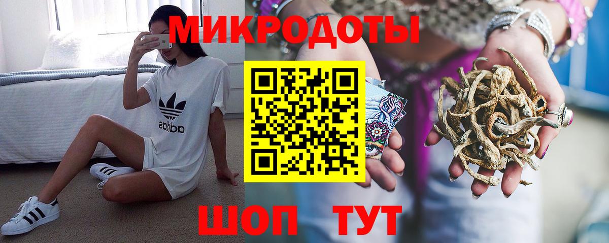Галлюциногенные грибы Psilocybine cubensis Казань